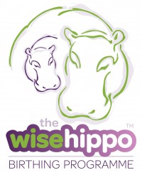 The wisehippo birthing programme